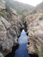 am Schildkrötensee, Pego das Pias