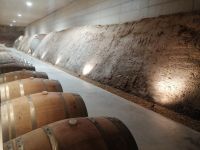 Führung duch die Produktionsanlage, Weinkeller