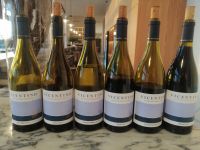 Weinverkostung Frupor Brejao, Küstenwein Vicentino 