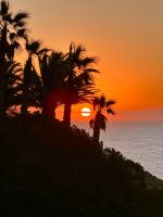 Unser täglicher Morgengruß