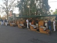 Korbwagen von Madeira, gesteuert von Carreiros