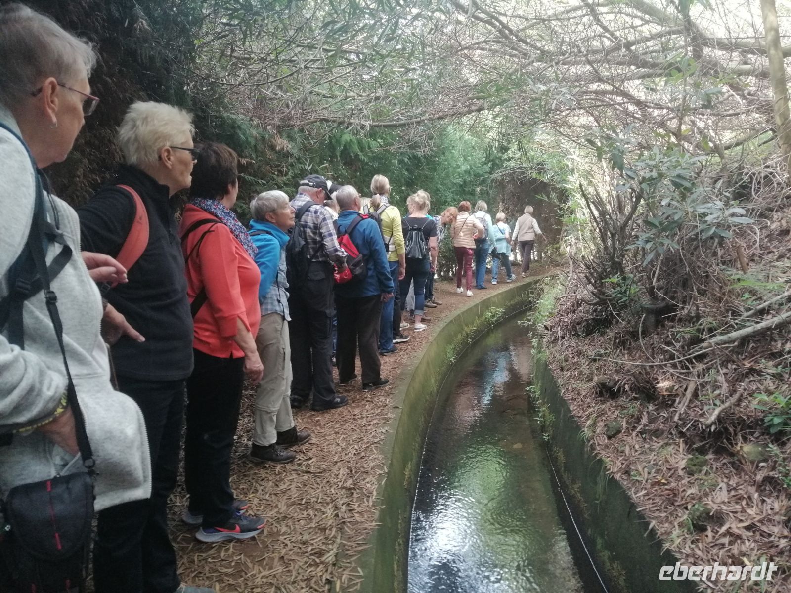 Levada-Wanderung: eine von ca. 2.500 km Levadas auf der Insel