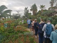 Besichtigung des Kräutergartens Quinta Splendida