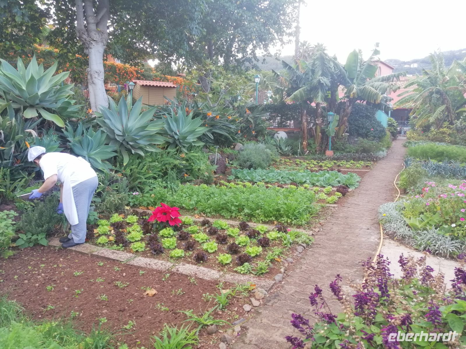 Besichtigung des Kräutergartens Quinta Splendida
