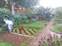 Besichtigung des Kräutergartens Quinta Splendida