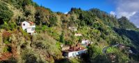 96 Levada Wanderung Balcoes