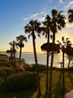 Guten Morgen Algarve 