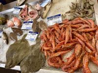 Frischer Fisch direkt vom Fang auf die Theke