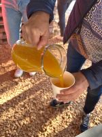 Jetzt kosten wir auch den frisch gepressten Saft