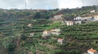 Anbau Landwirtschaft Madeira