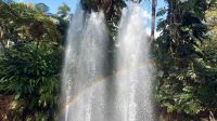 Wasserfall im Park in Funchal mit Regenbogen
