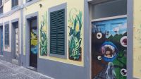 Madeira, Funchal, Rua Santa Maria mit Türbildern