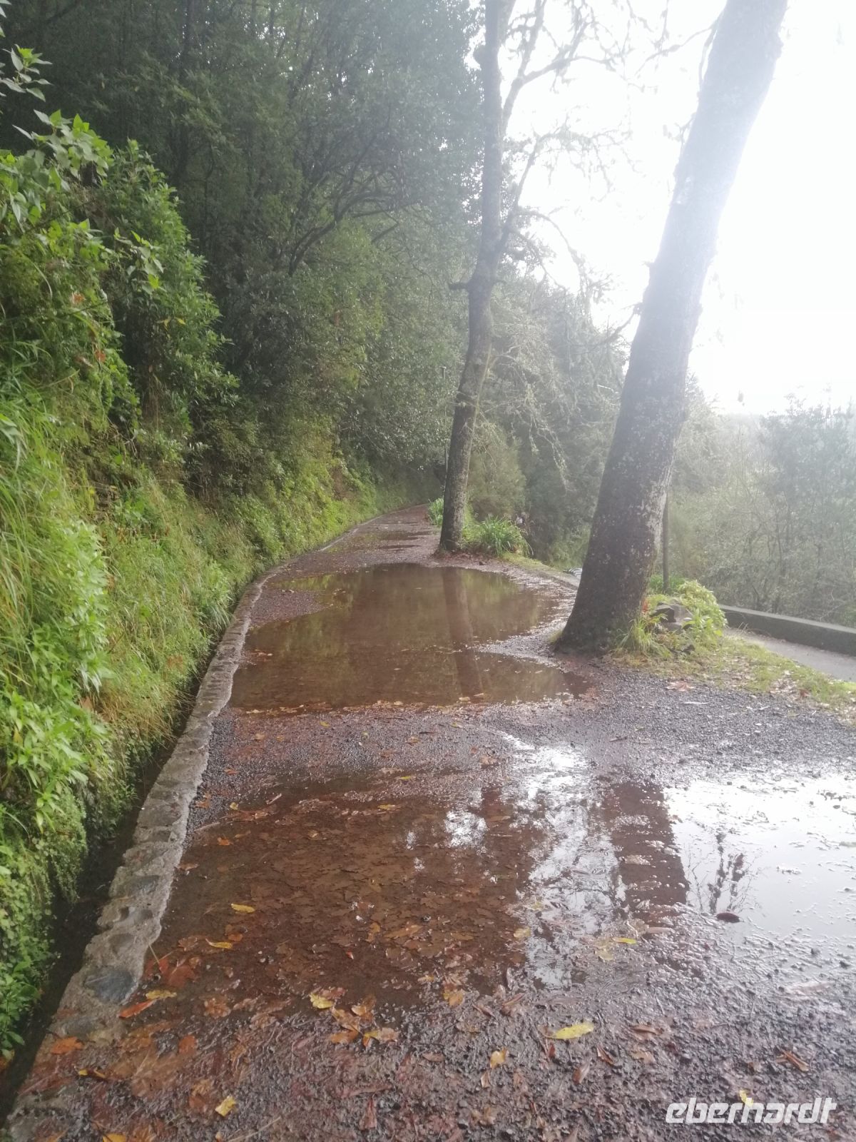 Ribeiro Frio, Levada-Wanderung Balcoes: leider wegen dem Regenwetter abgesagt...