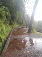 Ribeiro Frio, Levada-Wanderung Balcoes: leider wegen dem Regenwetter abgesagt...