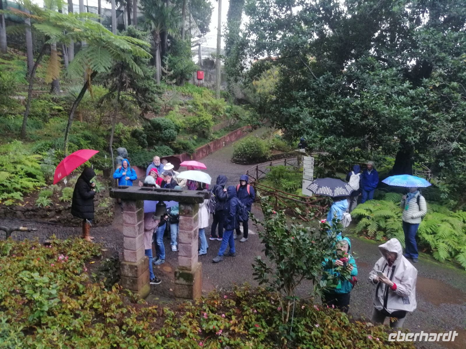 Besichtigung des botanischen Gartens - Jardim Botanico, Funchal