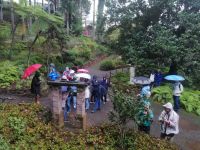 Besichtigung des botanischen Gartens - Jardim Botanico, Funchal