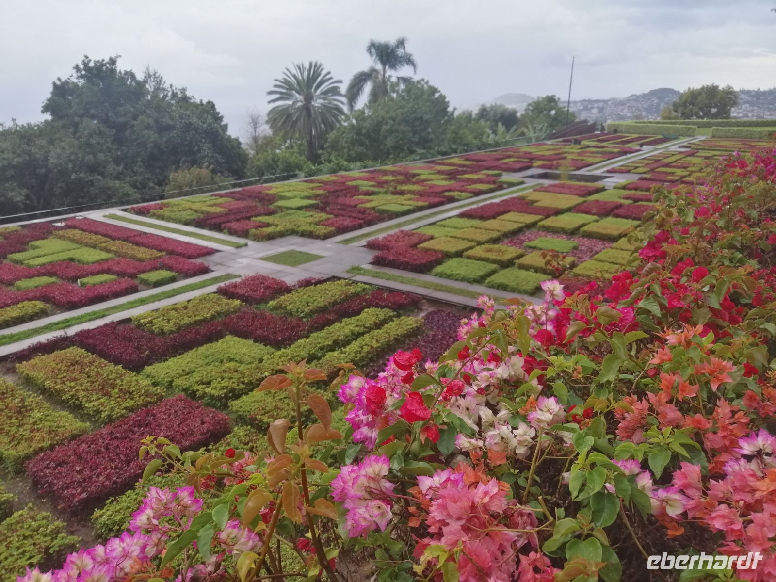 Besichtigung des botanischen Gartens - Jardim Botanico, Funchal
