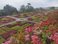 Besichtigung des botanischen Gartens - Jardim Botanico, Funchal