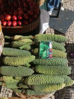 Philodendron-Früchte in der Markthalle, Funchal