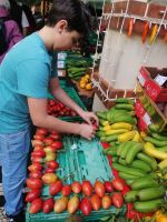 Bauernmarkt oder Markthalle in Funchal