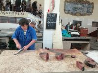 Markthalle in Funchal: die Fischabteilung