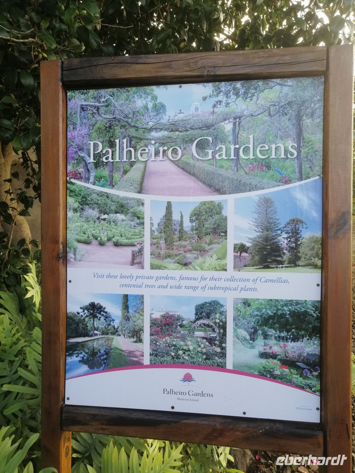 Besichtigung von Palheiro Gardens (Blandys Garten)
