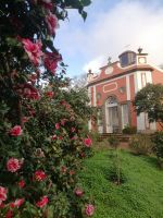 Besichtigung von Palheiro Gardens (Blandys Garten)