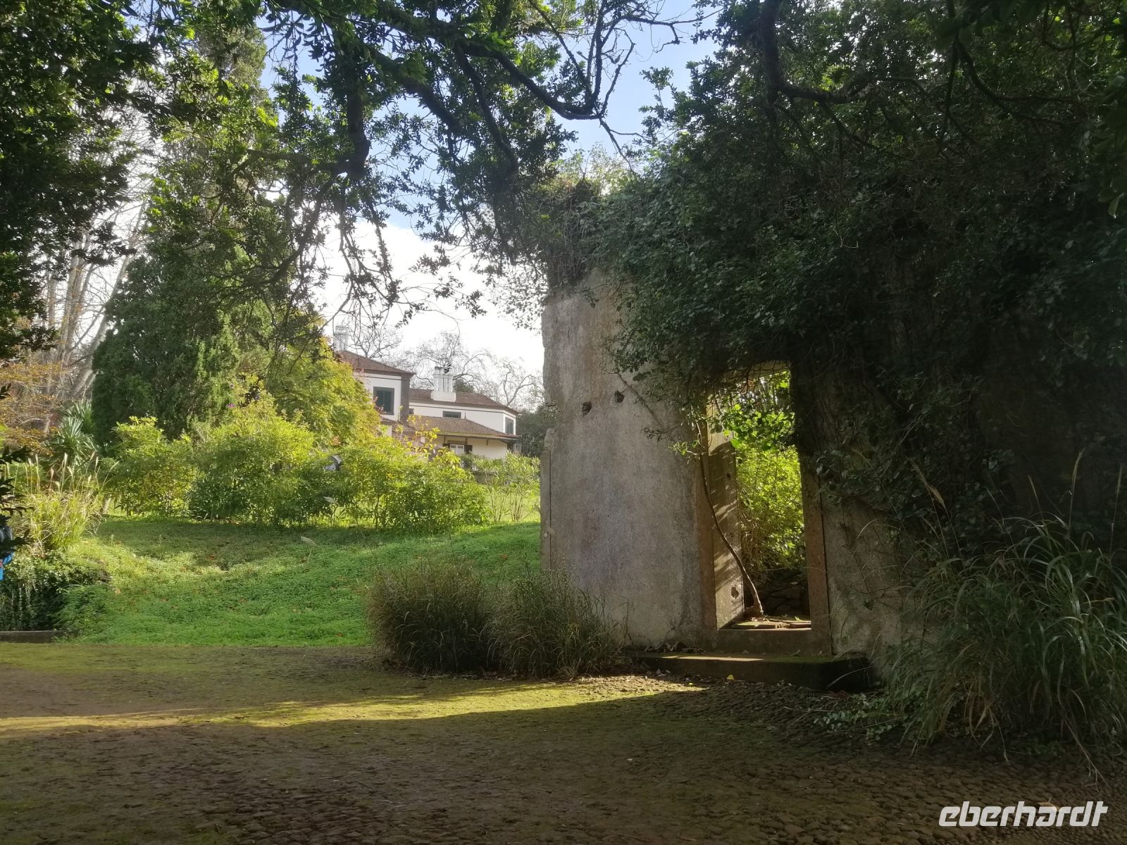 Besichtigung von Palheiro Gardens (Blandys Garten)