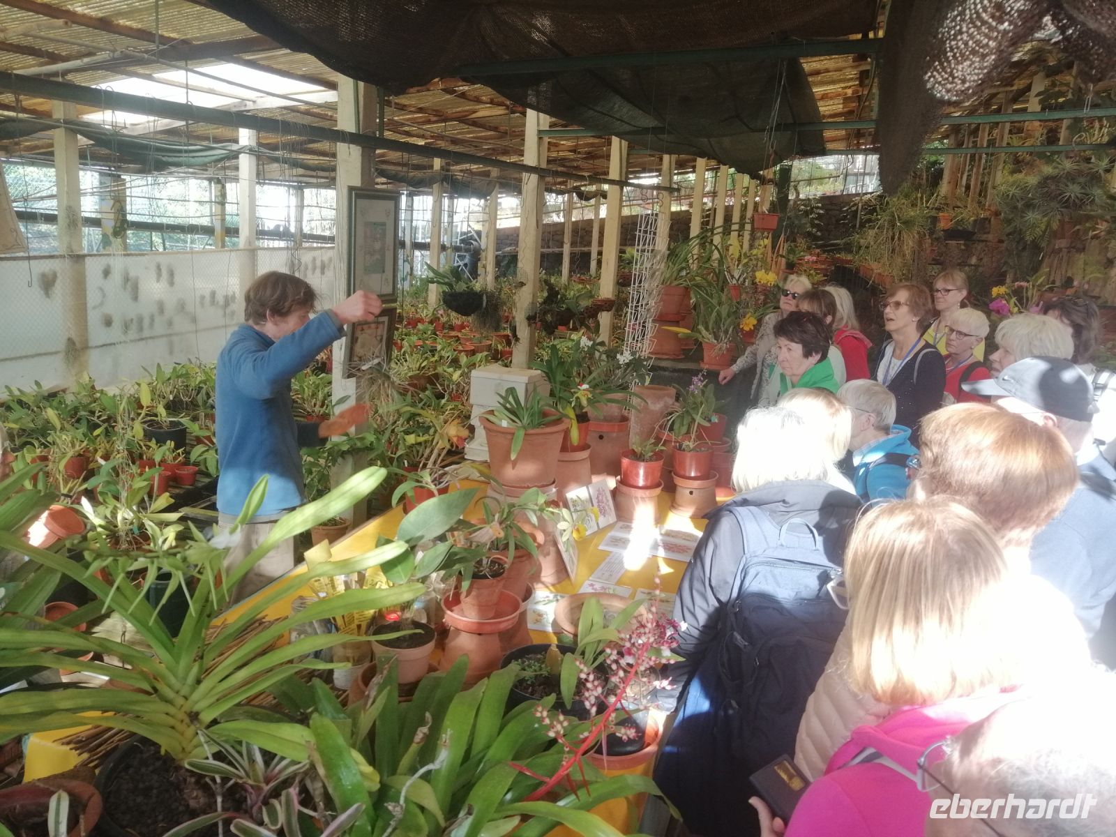 Besichtigung des Quinta do Boa Vista - Orchideen Garten