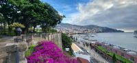 110 Blick auf Funchal