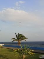 Unser Empfangskomitee