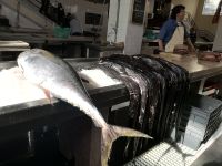 Heute abend schon auf meinem Teller?