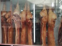 Die Fleischbeschauung - im wahrsten Sinne des Wortes 