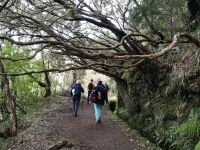 hier ganz anschaulich ......