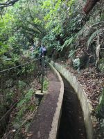 ganz schön schmal, der Weg 