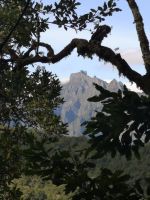 Die letzten Impressionen...