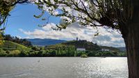 Spaziergang am Douro, Peso da Régua