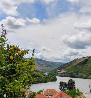 Douro-Fluss, Pinhão