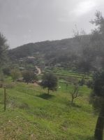 Landwirtschaft auf Terassen