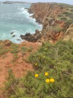 Schroffe Felsen am Weg