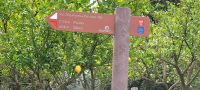 Wegweiser Algarviana Wanderweg