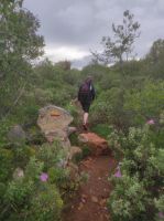 Wanderweg auf dem Tafelberg Rocha de Pena