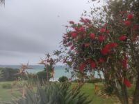 Sturm zieht auf... kurz vor Lagos 