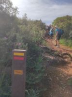 Fischerweg Richtung Praia da Luz 