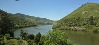 Eindrücke aus der Region Douro (6)