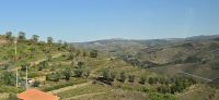 Eindrücke aus der Region Douro (14)
