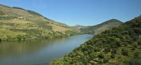 Eindrücke aus der Region Douro (15)