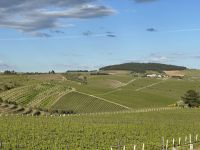 Quinta da Avessada - Abendessen auf einem Weingut mit Führung