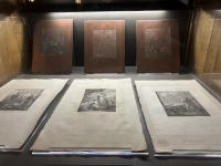 Mateuspalast - Museum 