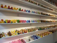 Porto - Entenparadies